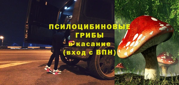 гидра Белоозёрский