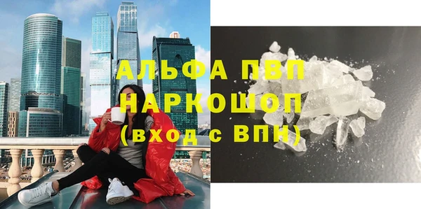 молекула духа Сосновый Бор