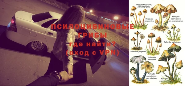 гидра Белоозёрский