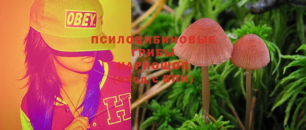 mix Белокуриха