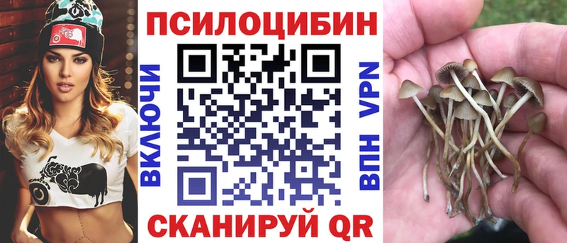 Галлюциногенные грибы прущие грибы  Мглин 